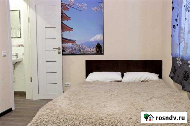 Комната 20 м² в 1-ком. кв., 2/2 эт. в аренду посуточно в Петропавловске-Камчатском Петропавловск-Камчатский - изображение 1