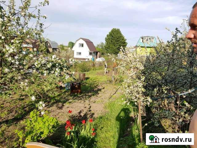 Дача 20 м² на участке 4 сот. на продажу в Южном Алтайского края Южный - изображение 1