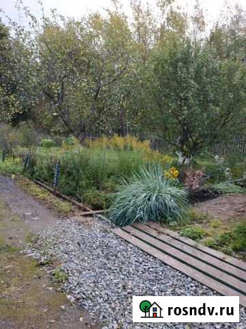 Дача 50 м² на участке 7 сот. на продажу в Ижевске Ижевск - изображение 1