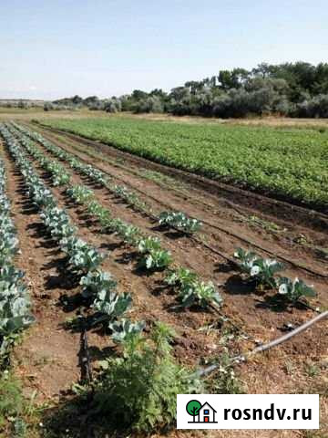 Участок ИЖС 49 сот. на продажу в Джанкое Джанкой - изображение 1