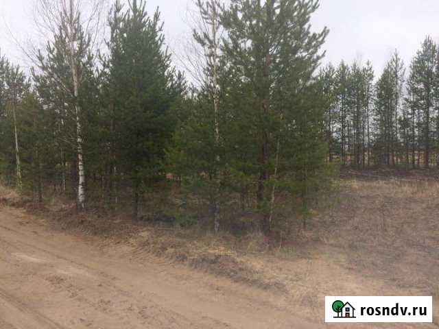 Участок СНТ, ДНП 12 сот. на продажу в Советском Ханты-Мансийского АО Советский - изображение 1