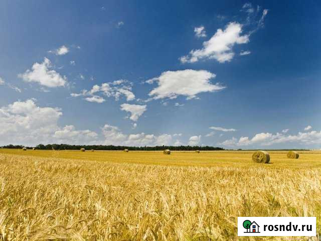 Участок СНТ, ДНП 1000 сот. на продажу в Ялге Ялга - изображение 1