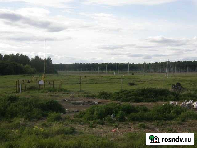 Участок СНТ, ДНП 1530 сот. на продажу в Полетаево Полетаево - изображение 1