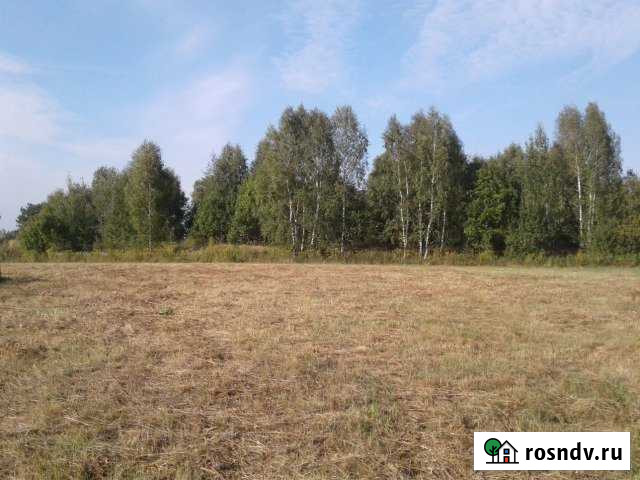 Участок СНТ, ДНП 250 сот. на продажу в Городце Городец - изображение 1