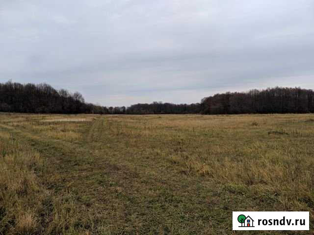 Участок СНТ, ДНП 763 сот. на продажу в Перевозе Перевоз - изображение 1