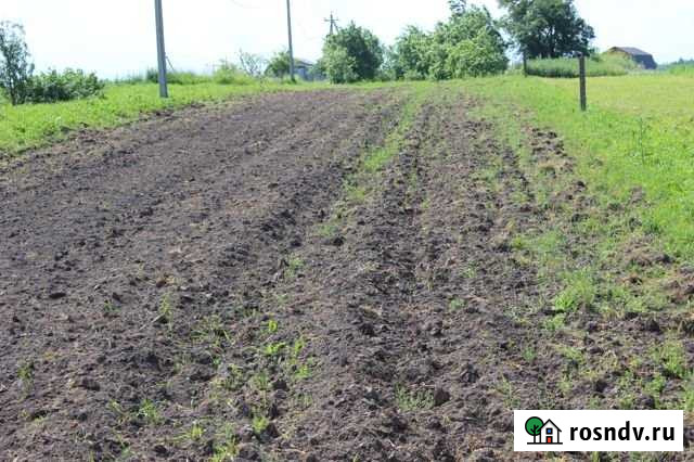 Участок ИЖС 21 сот. на продажу на Лугах Луга - изображение 1