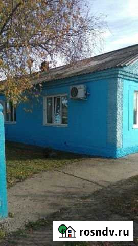 Дом 80 м² на участке 35 сот. на продажу в Благовещенске Амурской области Благовещенск - изображение 1