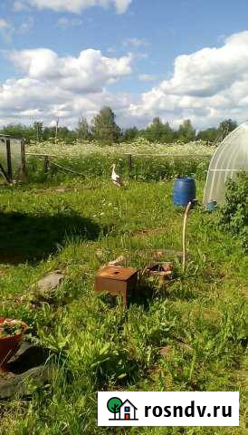 Участок ИЖС 15 сот. на продажу в Пустошке Пустошка - изображение 1