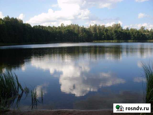 Участок ИЖС 15 сот. на продажу в Бежаницах Бежаницы - изображение 1