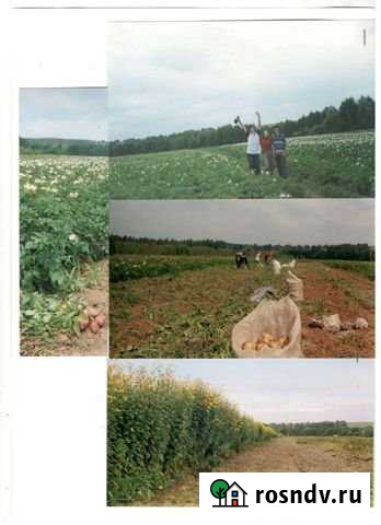 Участок СНТ, ДНП 300 сот. на продажу в Дальнем Константиново Дальнее Константиново - изображение 1