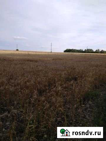 Участок СНТ, ДНП 600 сот. на продажу в Долгоруково Долгоруково - изображение 1