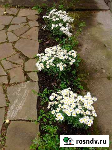 Дача 20 м² на участке 5.3 сот. на продажу в Орле Орёл - изображение 1