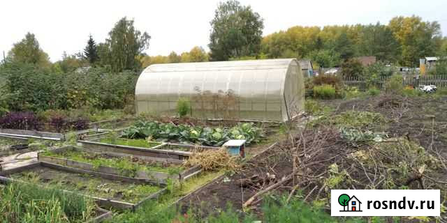 Участок СНТ, ДНП 6 сот. на продажу в Куйбышеве Куйбышев - изображение 1