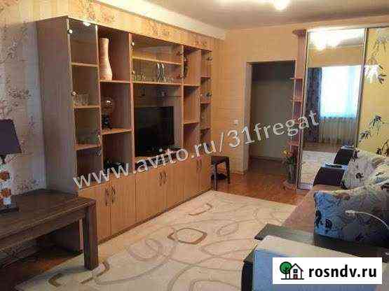 2-комнатная квартира, 51 м², 12/16 эт. в аренду на длительный срок в Белгороде Белгород
