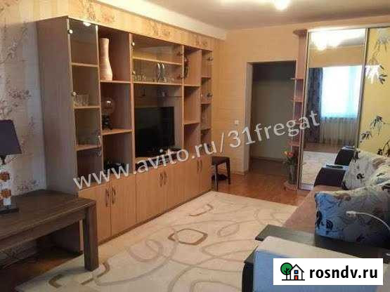 2-комнатная квартира, 51 м², 12/16 эт. в аренду на длительный срок в Белгороде Белгород - изображение 1