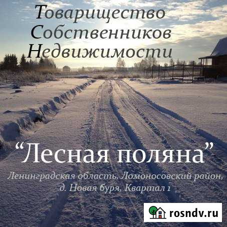 Участок ИЖС 10 сот. на продажу в Гостилицах Гостилицы - изображение 1