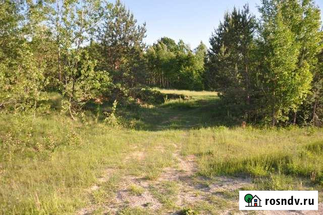 Участок ИЖС 200 сот. на продажу в Пскове Псков - изображение 1