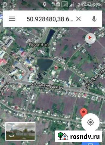 Дом 40 м² на участке 24 сот. на продажу в Репьевке Репьевка - изображение 1