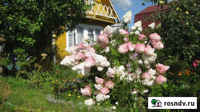 Дача 45 м² на участке 5 сот. на продажу в Костроме Кострома - изображение 1