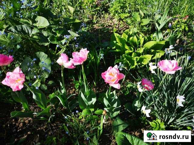 Дача 151 м² на участке 18 сот. на продажу в Ярославле Ярославль - изображение 1