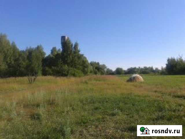 Участок ИЖС 25 сот. на продажу в Спас-Клепиках Спас-Клепики - изображение 1