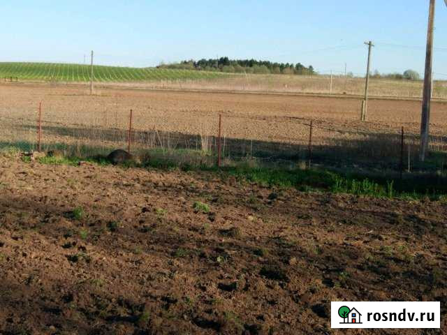 Участок СНТ, ДНП 175 сот. на продажу на Лугах Луга - изображение 1