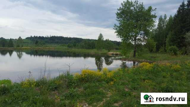 Участок СНТ, ДНП 200 сот. на продажу в Новопетровском Новопетровское - изображение 1