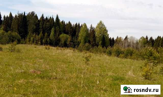 Участок СНТ, ДНП 25 сот. на продажу в Нытве Нытва - изображение 1