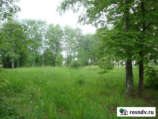 Участок ИЖС 100 сот. на продажу в Москве Москва - изображение 1