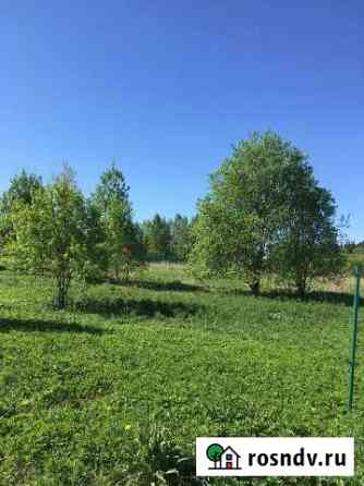 Участок ИЖС 23 сот. на продажу в Волосово Волосово