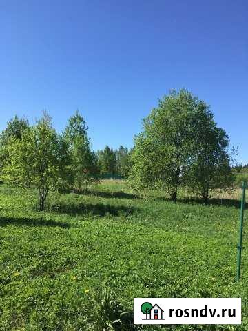 Участок ИЖС 23 сот. на продажу в Волосово Волосово - изображение 1