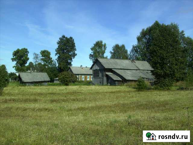 Участок ИЖС 10 сот. на продажу в Некрасовском Ярославской области Некрасовское - изображение 1