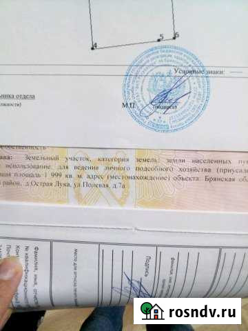 Участок ИЖС 20 сот. на продажу в Почепе Почеп - изображение 1