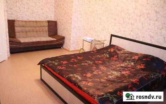 1-комнатная квартира, 45 м², 9/10 эт. в аренду посуточно в Нижнем Новгороде Нижний Новгород