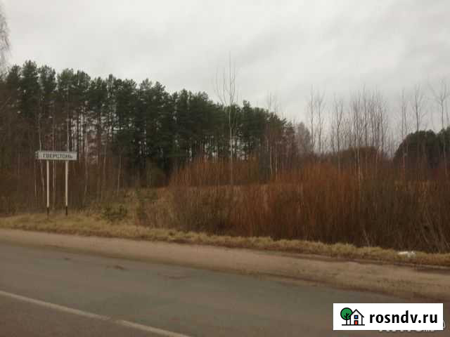 Участок СНТ, ДНП 300 сот. на продажу в Пскове Псков - изображение 1