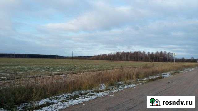 Участок СНТ, ДНП 15 сот. на продажу в Дмитрове Дмитров - изображение 1