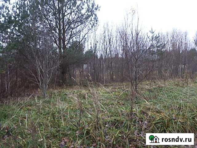 Участок ИЖС 31 сот. на продажу в Усть-Лугах Усть-Луга - изображение 1