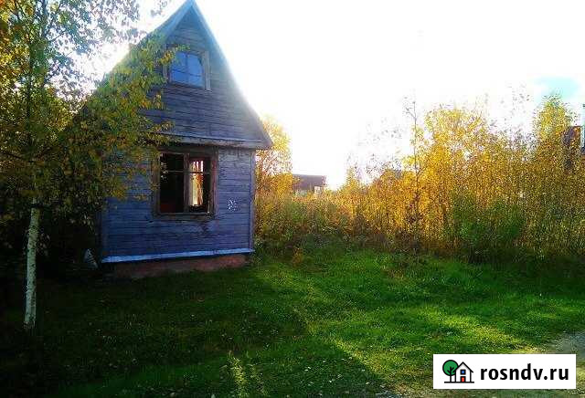 Участок СНТ, ДНП 10 сот. на продажу в Дмитрове Дмитров - изображение 1