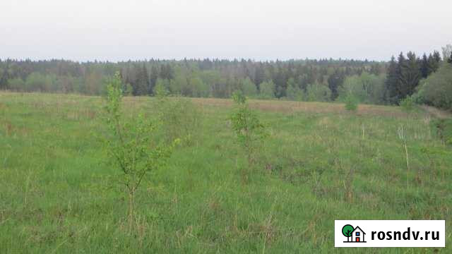 Участок СНТ, ДНП 350 сот. на продажу в Солнечногорске Солнечногорск - изображение 1