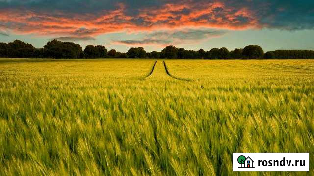 Участок СНТ, ДНП 656 сот. на продажу в Совхозе Селезнёвском Совхоз Селезнёвский - изображение 1