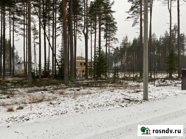 Участок ИЖС 6 сот. на продажу в Песочном Песочное - изображение 1