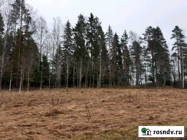 Участок СНТ, ДНП 9 сот. на продажу в Выборге Выборг - изображение 1