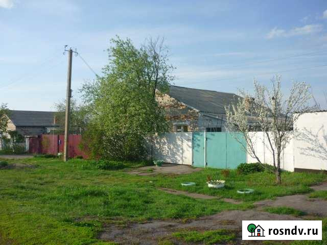 Дом 96 м² на участке 12 сот. на продажу в Павловске Воронежской области Павловск - изображение 1