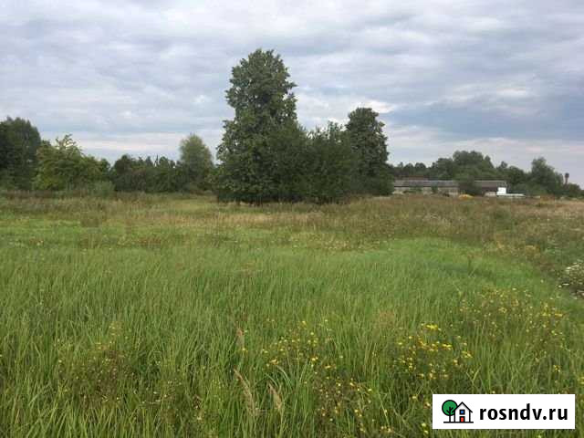 Участок ИЖС 32 сот. на продажу в Гвардейске Гвардейск - изображение 1