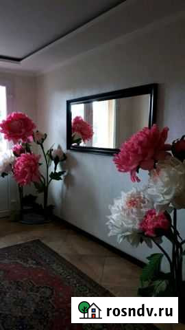 1-комнатная квартира, 40 м², 3/3 эт. в аренду посуточно в Пушкине Пушкин - изображение 1