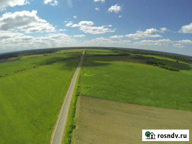 Участок СНТ, ДНП 800 сот. на продажу в Голышманово Голышманово - изображение 1