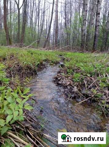 Участок СНТ, ДНП 1000 сот. на продажу в Медыни Медынь - изображение 1