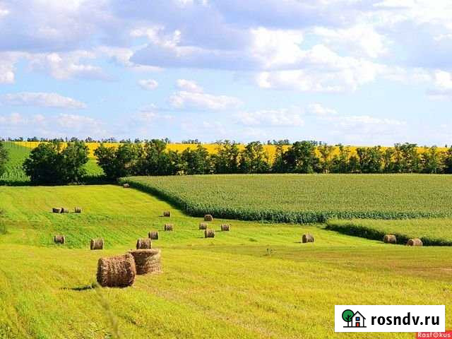 Участок СНТ, ДНП 300 сот. на продажу в Зеленогорске Красноярского края Зеленогорск - изображение 1