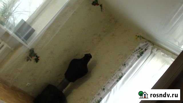 2-комнатная квартира, 57.4 м², 2/5 эт. на продажу в Люберцах Люберцы - изображение 1