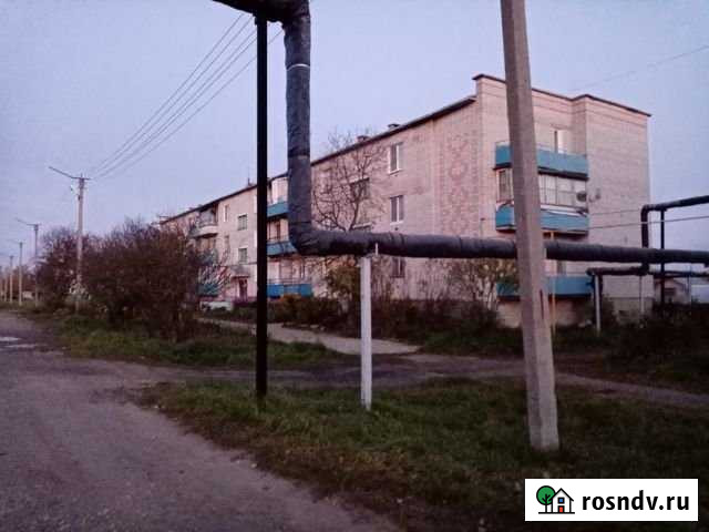 2-комнатная квартира, 52 м², 2/3 эт. на продажу в Новом Торъяле Новый Торъял - изображение 1